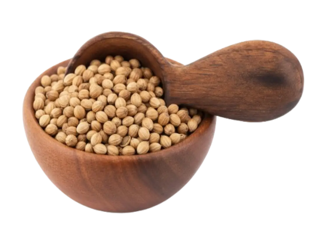 Coriander
                                                    Seeds